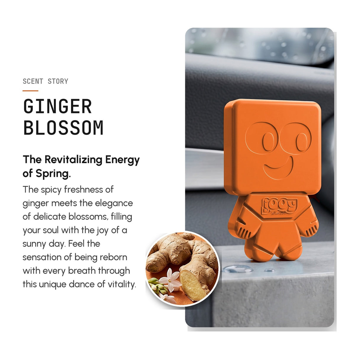 JOOY Car Air Freshener 6-Pack - Ginger Blossom