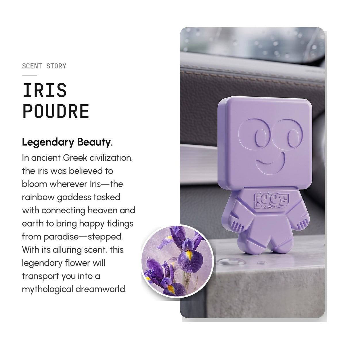 JOOY Car Air Freshener 6-Pack - Iris Poudre