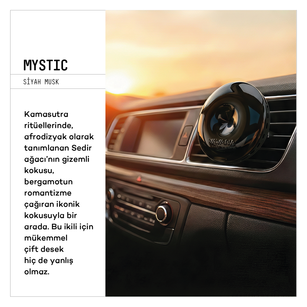 SPIN Car Air Freshener 3-Pack - Mystic | Angelic | Neutral