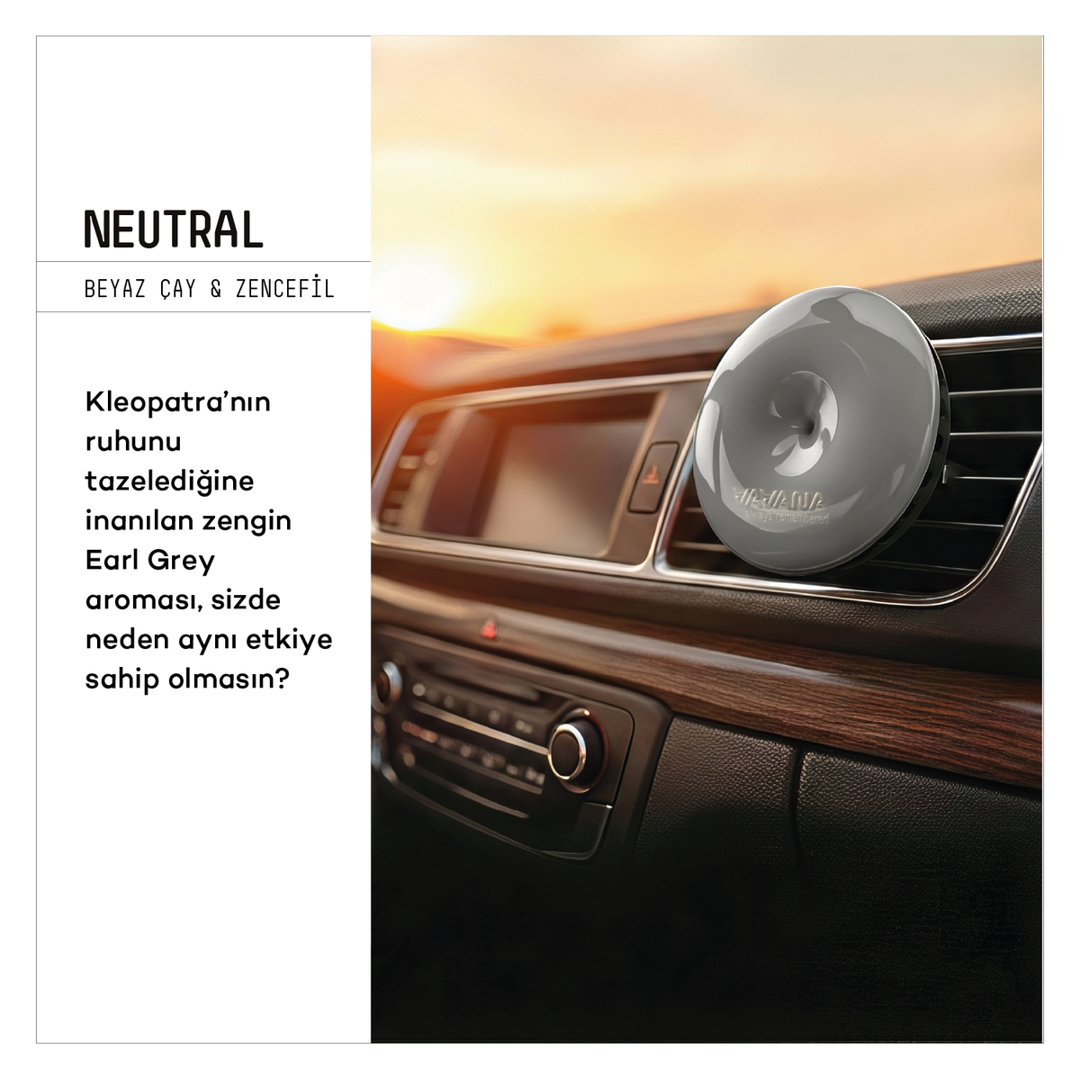 SPIN Car Air Freshener 3-Pack - Mystic | Angelic | Neutral