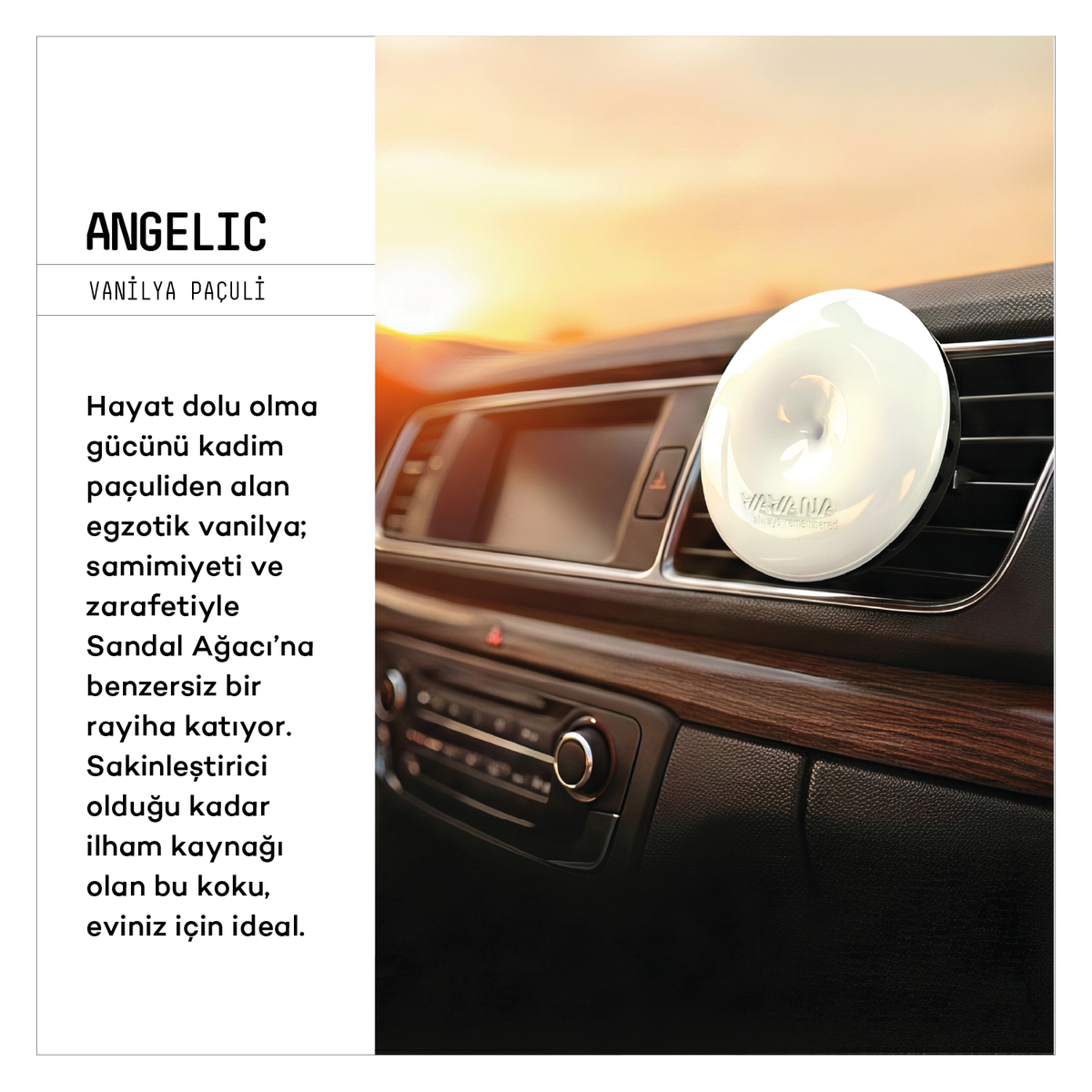 SPIN Car Air Freshener 3-Pack - Mystic | Angelic | Neutral