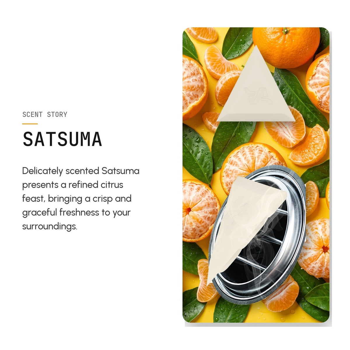 TRIO Car Air Freshener 2-Pack - Bubble Gum, Satsuma